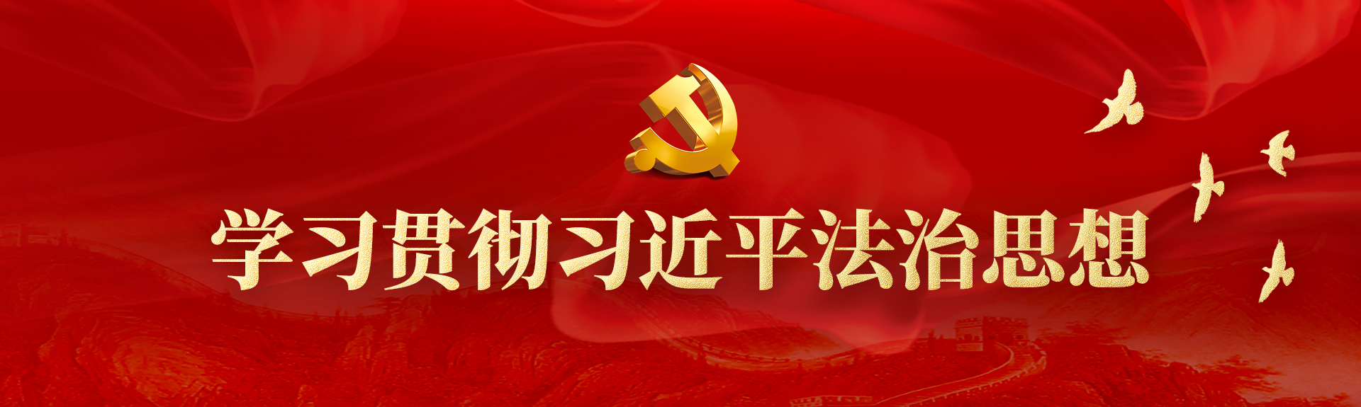 学习贯彻习近平法治思想 学习贯彻习近平法治思想